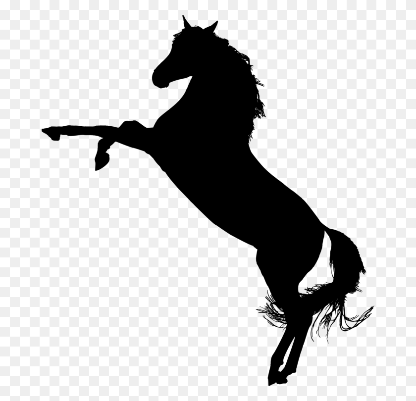 672x750 Американская Четверть Лошади Мустанг Арабская Лошадь Жеребец Бесплатно - Четверть Лошади Клипарт