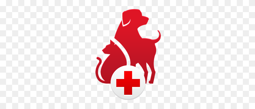 300x300 Американский Красный Крест Предлагает Приложение Для Оказания Первой Помощи Домашним Животным - Американский Красный Крест Png