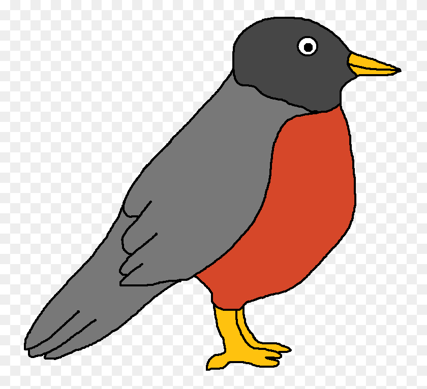 754x706 American Robin Clipart - Clipart De Observación De Aves