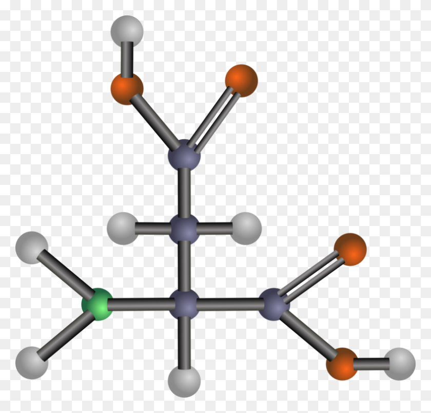 786x750 Amino Acid Amine Tyrosine Methionine - Acid Clipart