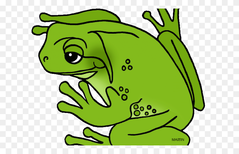 640x480 Amphibian Clipart Frog - Frog Eggs Clipart