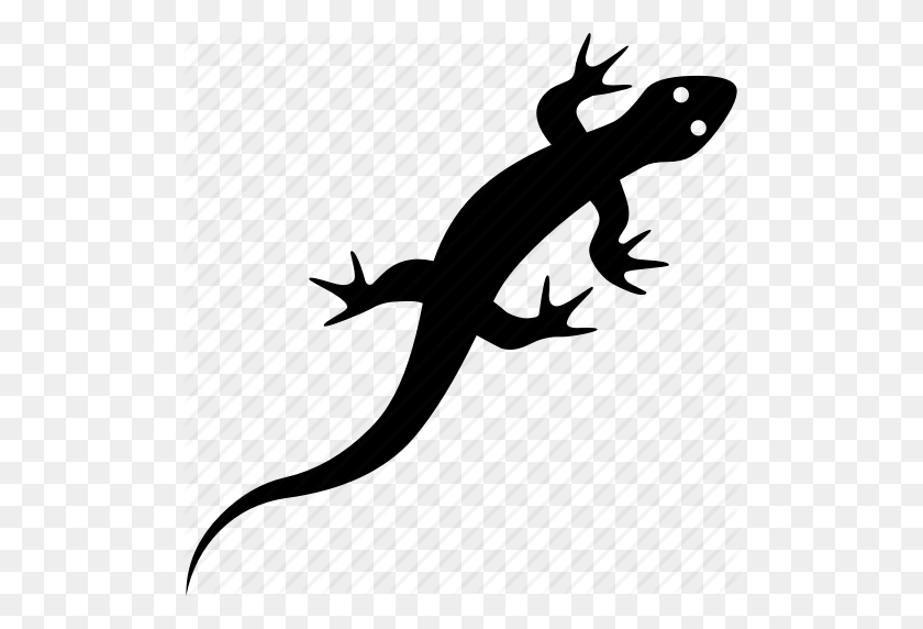 512x512 Amphibian, Gecko, Lizard, Reptile, Reptilia, Squamata Icon - Lizard PNG