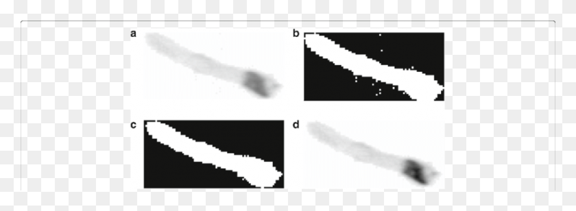 850x271 Пример Предварительной Обработки Изображения Исходного Захваченного Планктона - Планктон Png