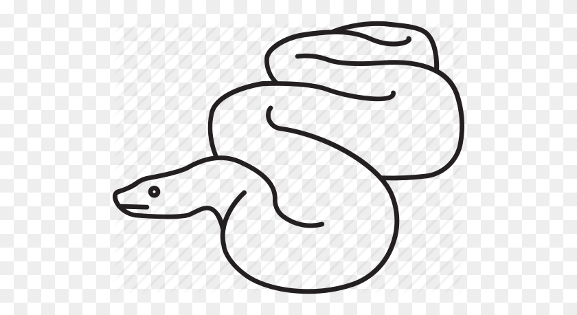 512x398 Anaconda, Boa, Constrictor, Gigante, Python, Serpiente, Icono De Serpiente - Boa Constrictor Clipart