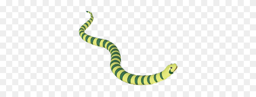 342x259 Anaconda Png Transparent Anaconda Images - Snake Clipart Transparent