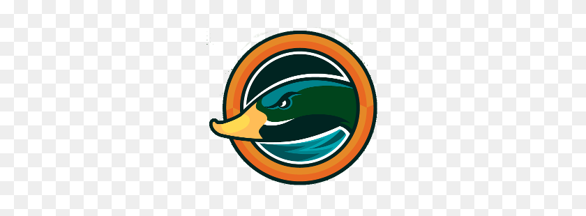 250x250 Anaheim Ducks Concept Logo Sports Logo History - Anaheim Ducks Logo PNG