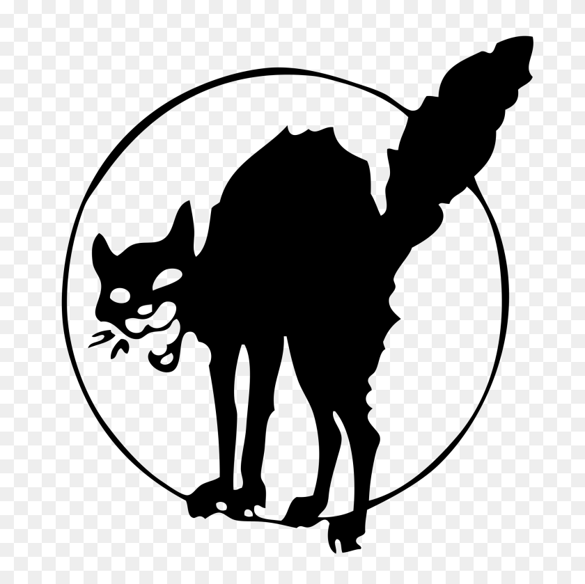 2000x2000 Anarchist Black Cat - Cat PNG