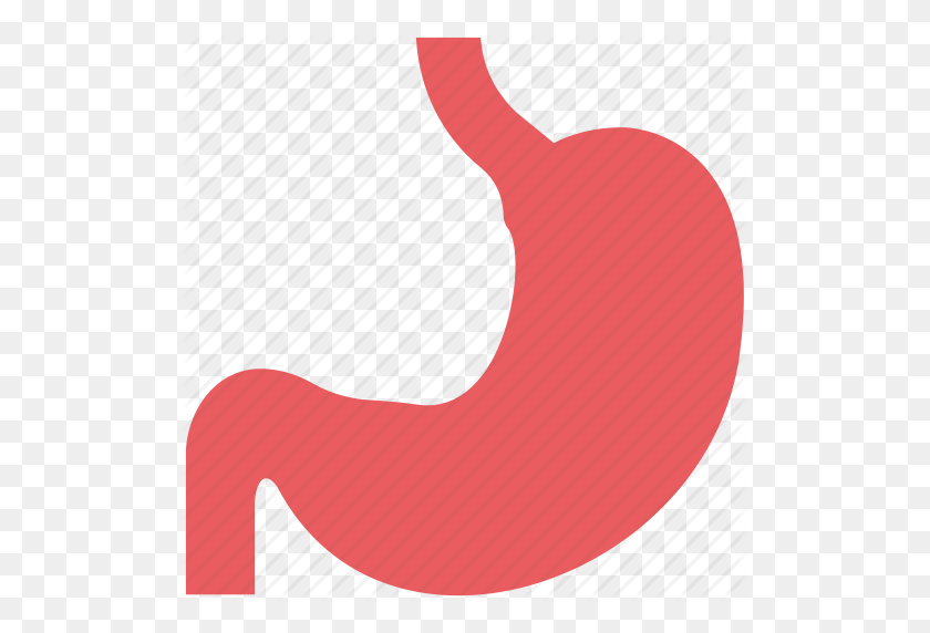 512x512 Anatomía, Órgano Del Cuerpo, Parte Del Cuerpo, Sistema Digestivo, Estómago Humano - Imágenes Prediseñadas De Anatomía