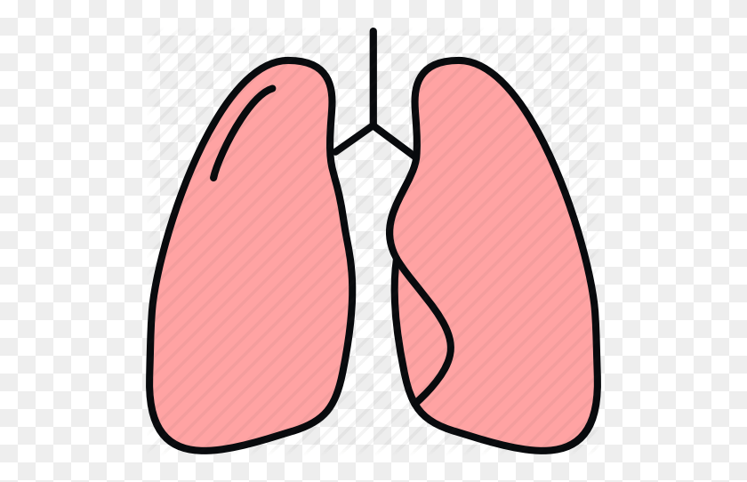 512x482 Anatomy, Bodypart, Lung, Lungs, Medical, Medicine, Organ Icon - Lungs PNG