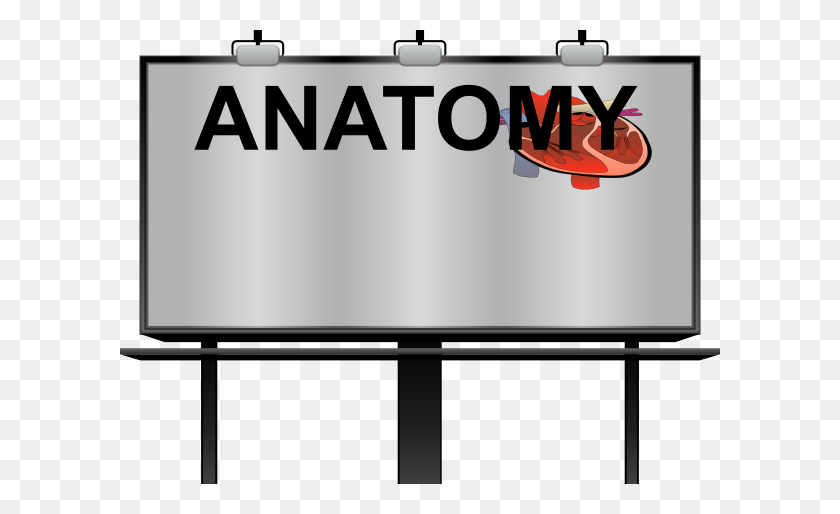 600x454 Anatomy Clip Art - Heart Anatomy Clipart