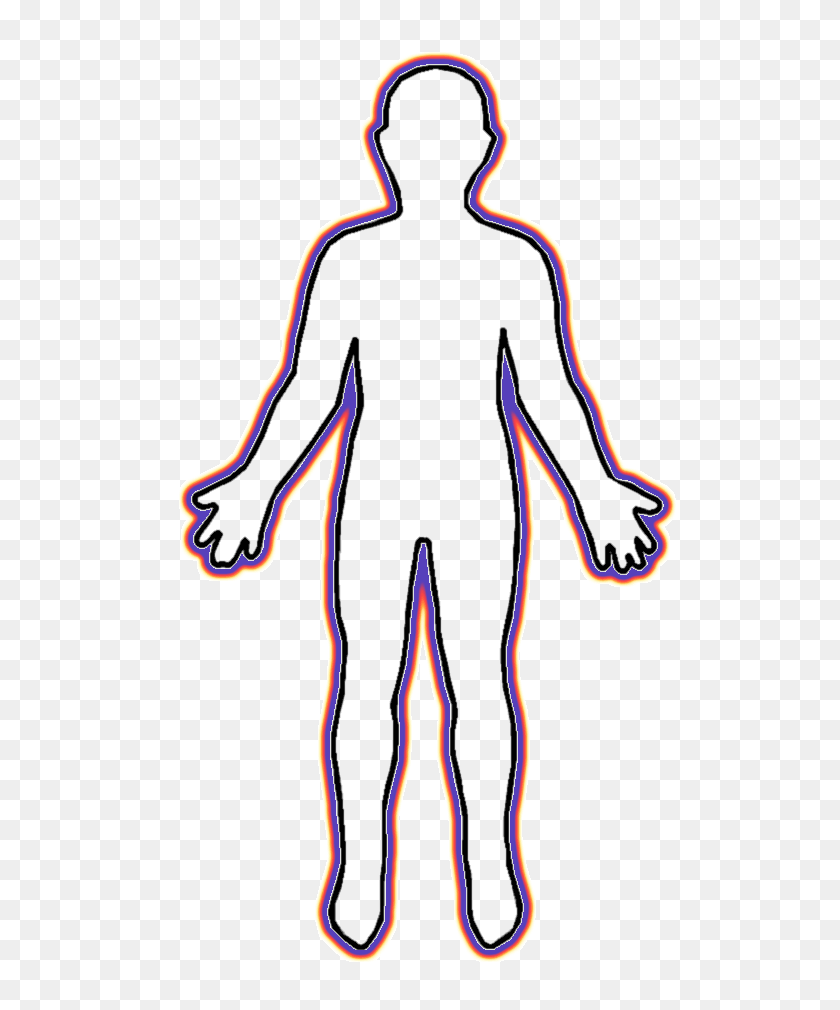 550x950 Anatomy Clipart Transparent - Muscular System Clipart