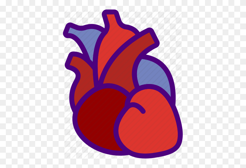 409x512 Анатомия, Врач, Сердце, Больница, Медицинская Иконка - Картинка По Анатомии
