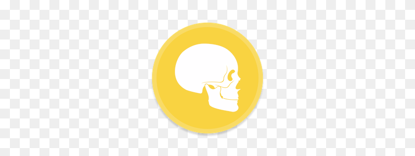 256x256 Anatomy Icon Button Ui - Not Allowed Sign PNG