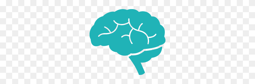 250x217 Анатомия В Мозге - Мозг Вектор Png