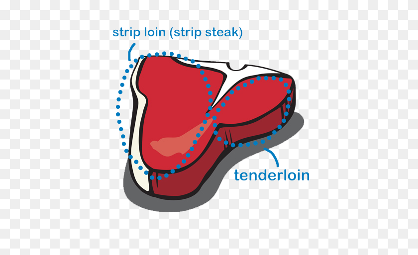 453x453 Anatomy Of A T Bone - T Bone Steak Clipart