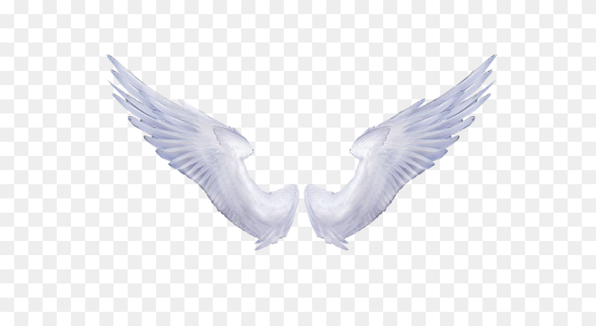 600x400 Крылья Ангела Отпечаток Лапы Клипарт - Картинки С Крыльями Ангела