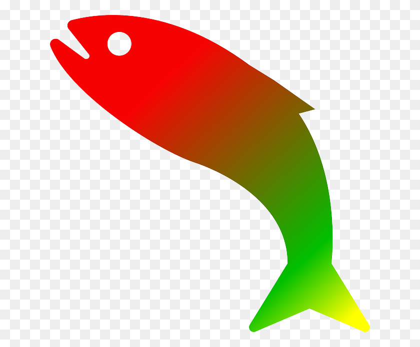 640x635 Angelfish Clipart Rainbow Fish - Beta Fish Clipart