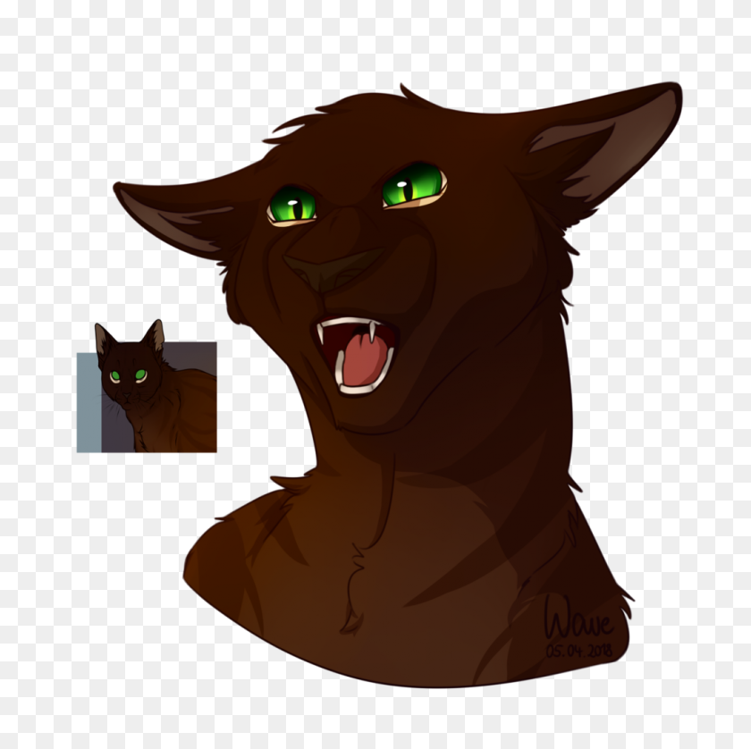 1024x1022 Angry Cat Is Angry - Angry Cat PNG