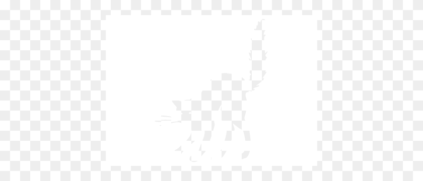 420x300 Angry Cat Wallstickers - Angry Cat PNG