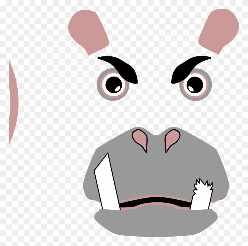 1909x1894 Angry Hippo Icons Png - Hippo PNG