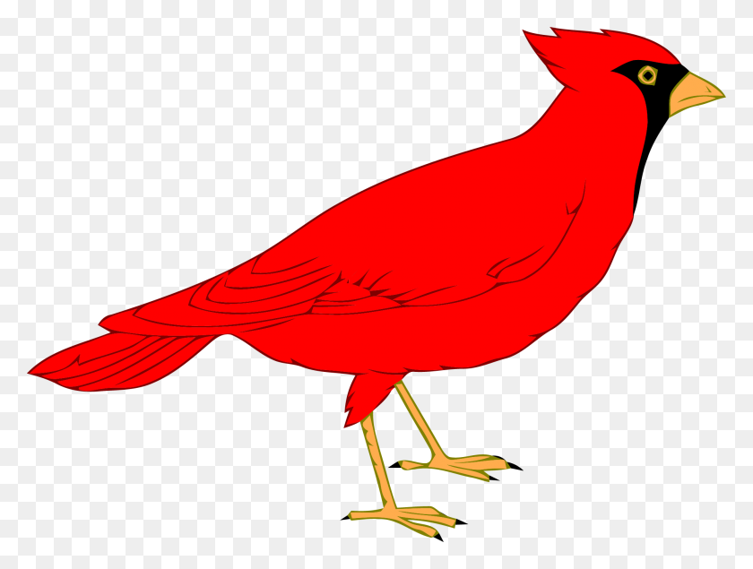 2001x1477 Angry Red Bird Clipart Png - Red Bird Png