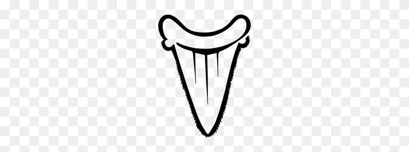 Download Angustiden Anterior Shark Tooth - Shark Teeth PNG ...