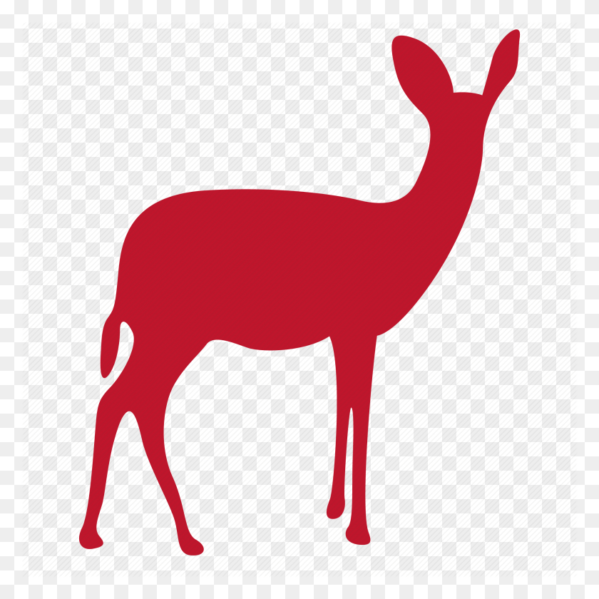 2118x2118 Animal, Animals, Deer Icon - Deer PNG
