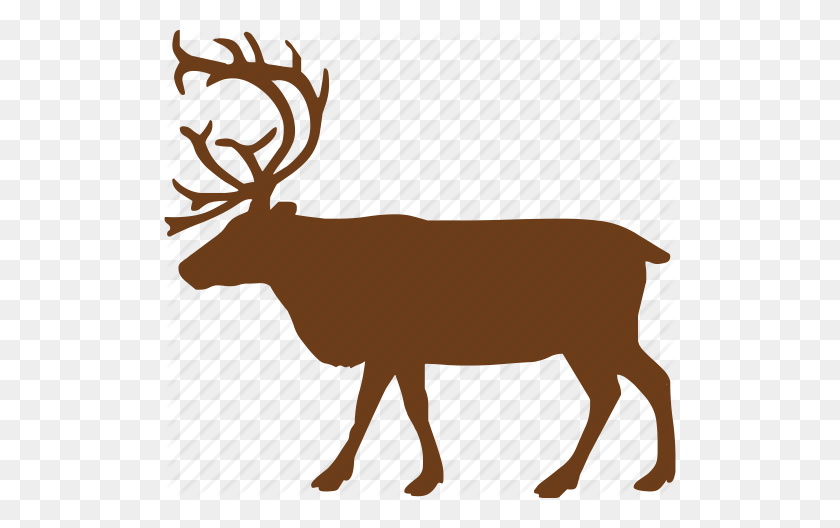 512x468 Animal, Animals, Deer, Wild Animal, Zoo Icon - Zoo PNG