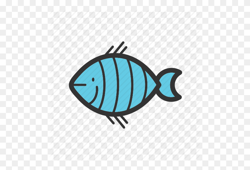 512x512 Animal, Aquatic, Clown, Clownfish, Cute, Fish, Marine Icon - Clown Fish PNG