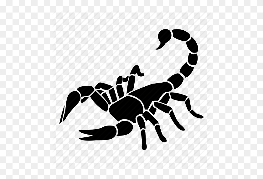 512x512 Animal, Astrology, Horoscope, Scorpio, Scorpion, Star, Zodiac Icon - Scorpion PNG