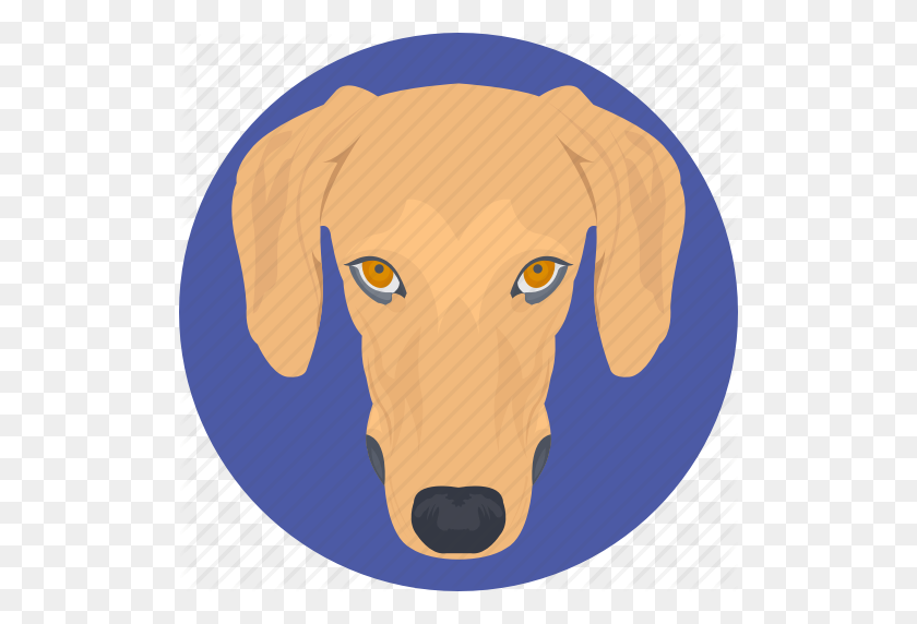 512x512 Animal, Basset Hound, Dog, Dog Face, Dog Head Icon - Dog Head PNG