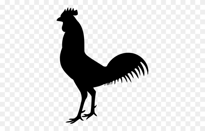 376x480 Animal, Bird, Chicken, Cock, Hen Silhouettes For Projects - Chicken Silhouette PNG