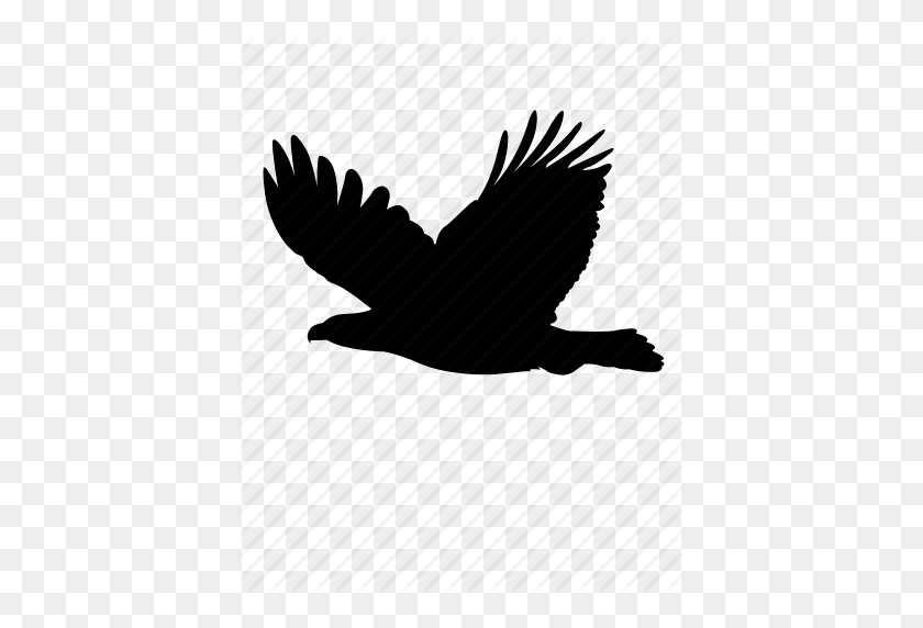 409x512 Animal, Bird, Eagle, Falcon, Fly, Hawk Icon - Falcon PNG