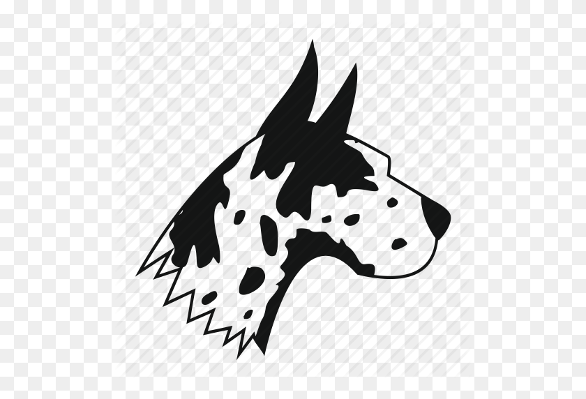 512x512 Animal, Breed, Canine, Dane, Dog, Great, Pet Icon - Great Dane PNG