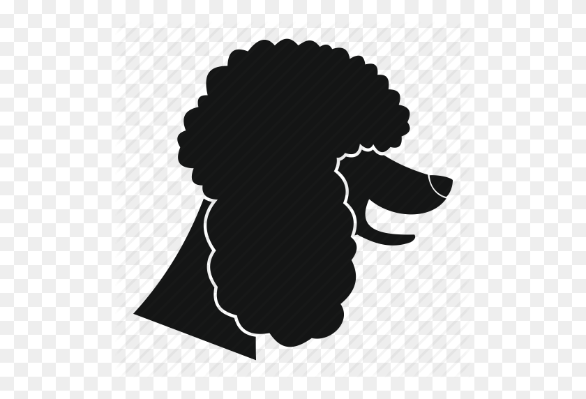 Animal Breed Canine Dog Friend Pet Poodle Icon Poodle Png