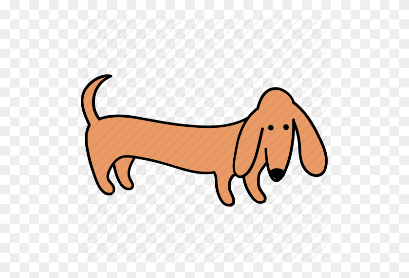 512x512 Animal, Canine, Dachshund, Dog, Look, Pet, Stand Icon - Dachshund PNG
