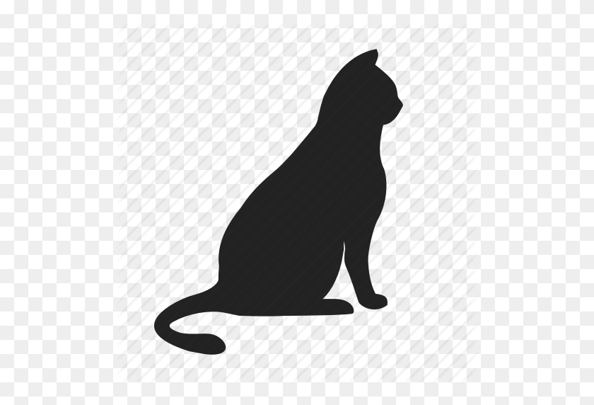 512x512 Animal, Cat Icon - Cat Icon PNG