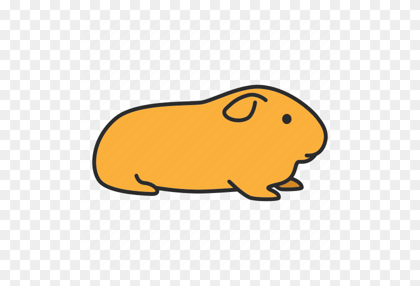 512x512 Animal, Cavy, Domestic, Guinea, Pet, Pig, Rodent Icon - Guinea Pig PNG