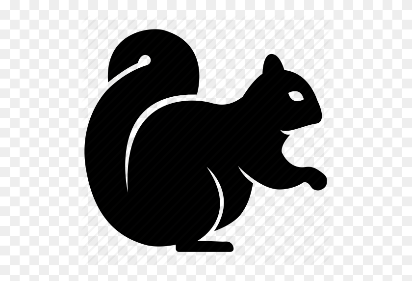 512x512 Animal, Chipmunk, Forest, Mammal, Possum, Squirrel, Woodland Icon - Squirrel Black And White Clipart
