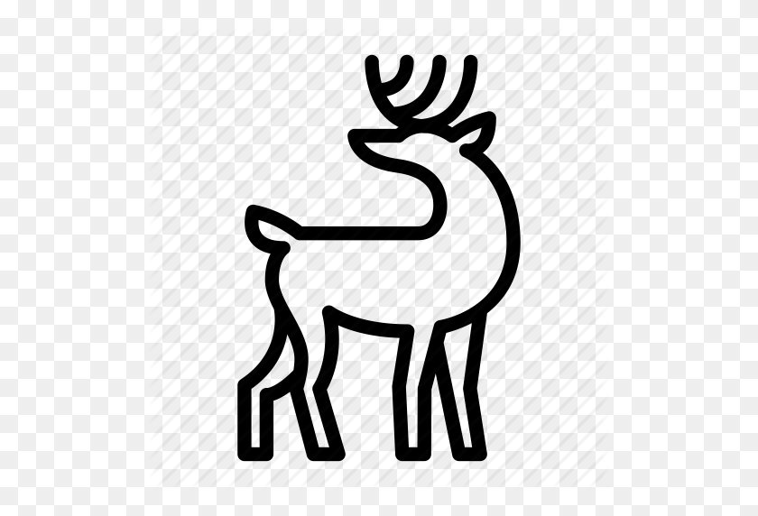 512x512 Animal, Christmas, Deer, Horns, Merry Christmas, New Year - Deer Rack Clipart