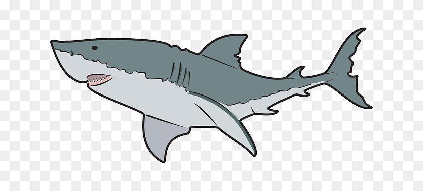 640x320 Animal Clipart Shark - Animal Clipart Black And White Free