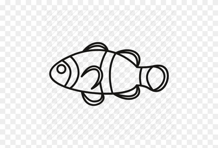 512x512 Animal, Clown, Fish, Line, Marine, Outline, Sea Icon - Fish Outline PNG