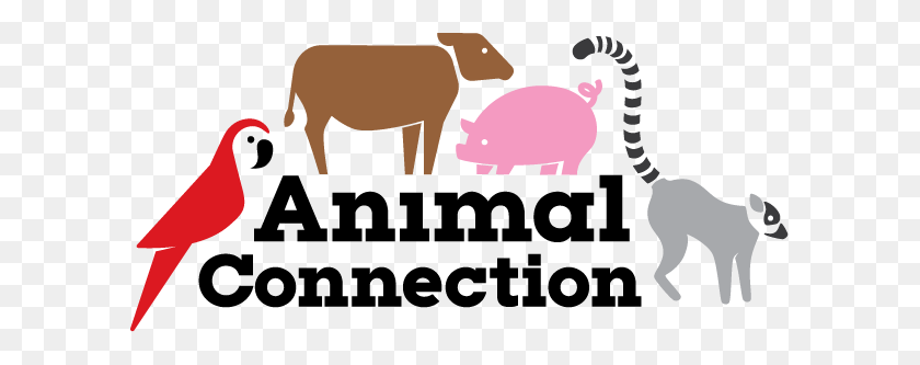 601x273 Animal Connection - Pony Rides Clipart