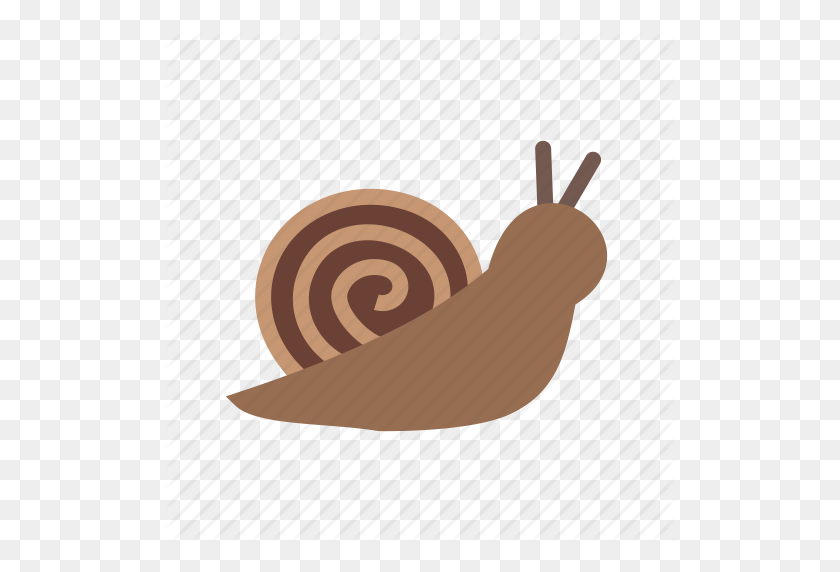 512x512 Animal, Cute, Garden, Shell, Slow, Small, Snail Icon - Snail PNG