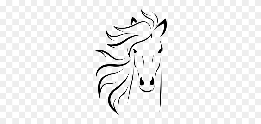 235x340 Animal, Equino, Rosto, Cavalo Cricket Horse - Clipart Caballo Blanco Y Negro