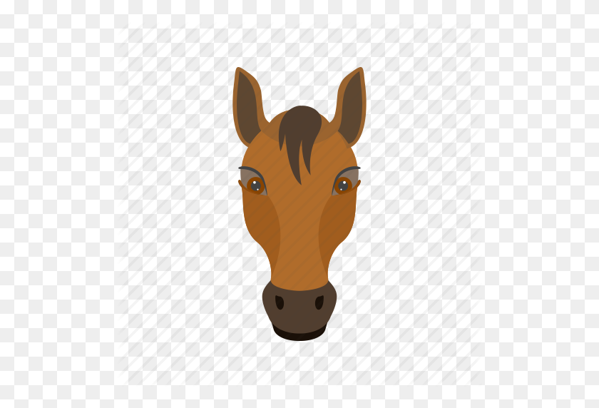512x512 Animal, Face, Fast, Horse, Horses, Race, Riding Icon - Horse Head PNG