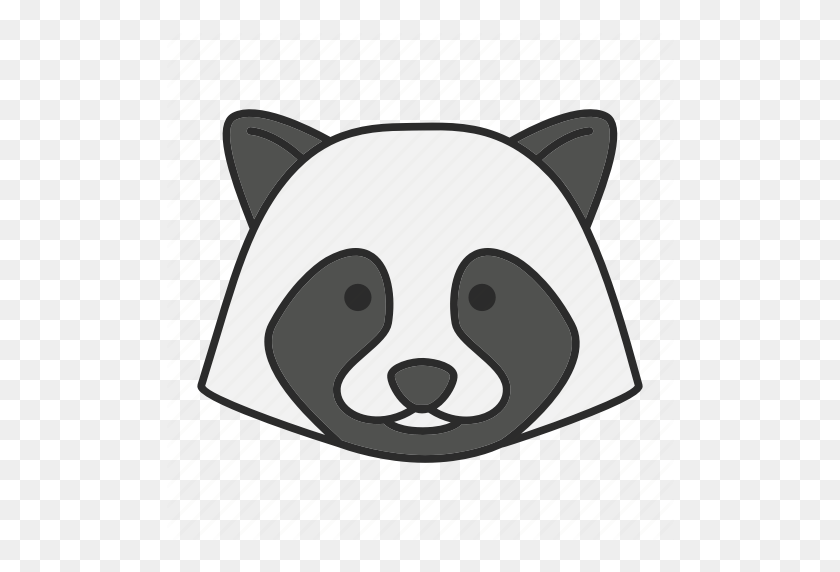 512x512 Animal, Face, Pet, Raccoon, Racoon, Wildlife, Zoology Icon - Racoon PNG