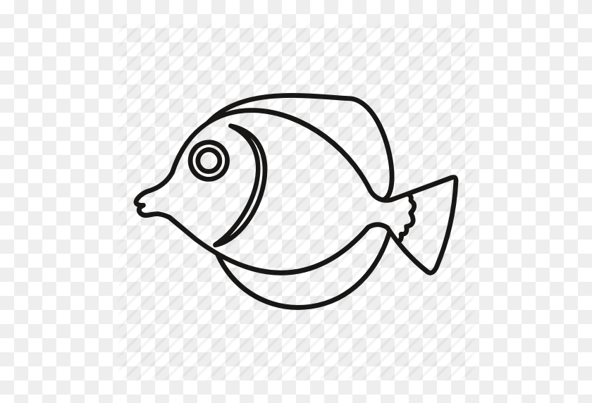 512x512 Animal, Fish, Line, Marine, Outline, Reef, Tropical Icon - Fish Outline PNG