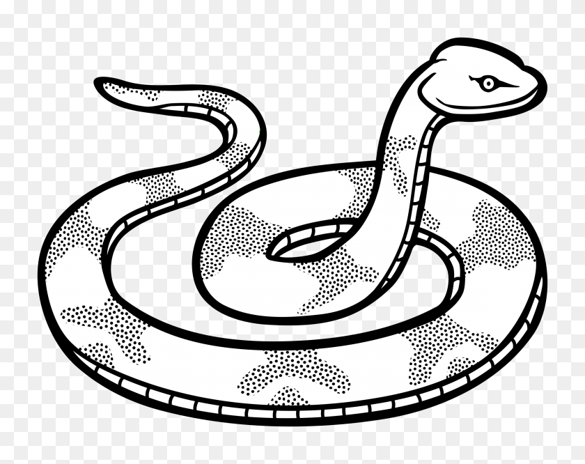 2400x1867 Animal Lineart Snake For Free Download - Snake Clipart Transparent