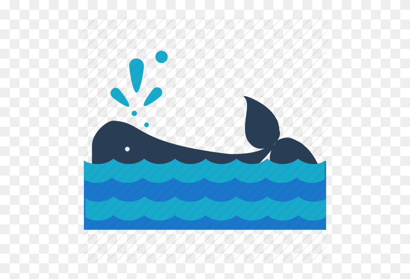 512x512 Animal, Nautical, Ocean, Sea, Water, Whale Icon - Ocean Water PNG